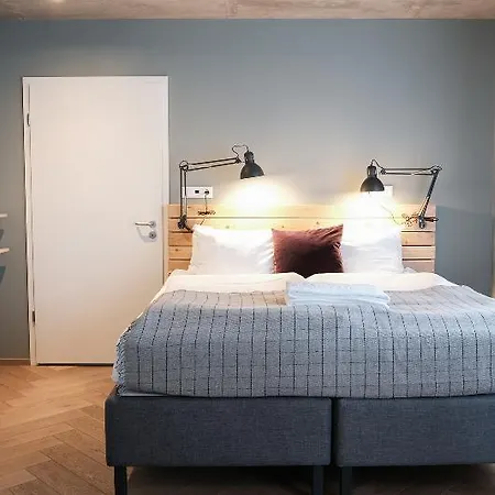 The Swan House By Ylma 3* Reykjavík